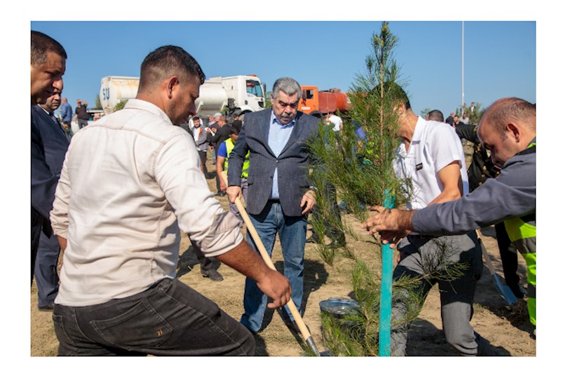 Salyanda "Anım Günü" ilə əlaqədar ağacəkmə aksiyası keçirildi — FOTOLAR 