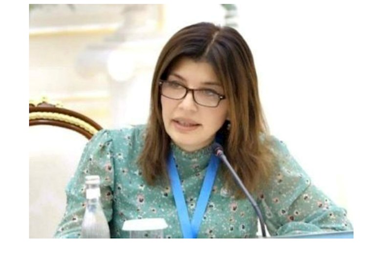 Günay Əfəndiyeva: “Türk Dövlətləri Təşkilatının nüfuzu artır”