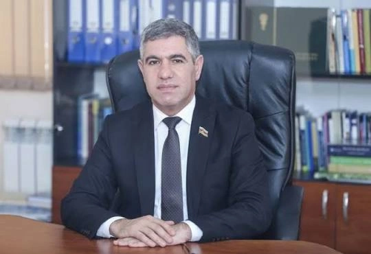 Manatın taleyi bəlli oldu — Deputat açıqladı