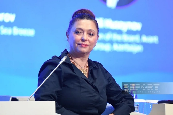 AIIF 2026-da Azərbaycanda yeni investisiya istiqamətləri ilə bağlı sessiya baş tutub - FOTOLAR AIIF 2026-da Azərbaycanda yeni investisiya istiqamətləri ilə bağlı sessiya baş tutub - FOTOLAR