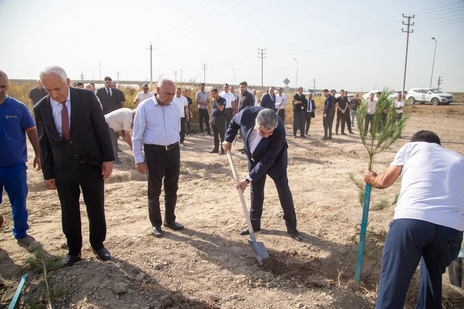 Salyanda Anım Günü ilə bağlı ağacəkmə aksiyası keçirildi — FOTOLAR Salyanda Anım Günü ilə bağlı ağacəkmə aksiyası keçirildi — FOTOLAR