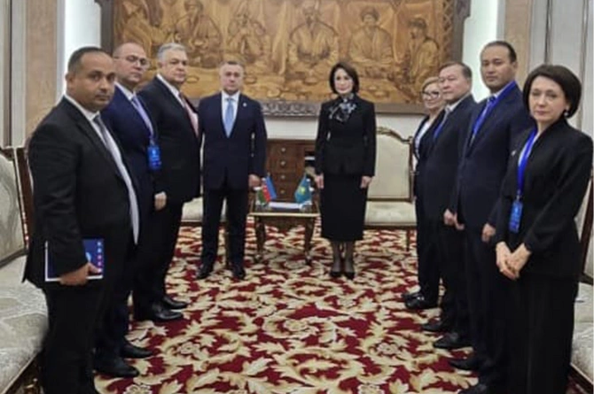 Səhiyyə naziri TDT səhiyyə nazirlərinin VI iclasında iştirak etdi - FOTOLAR