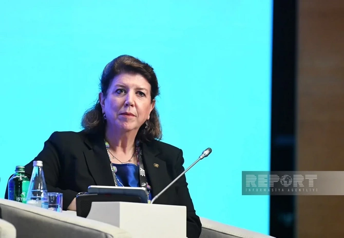 AIIF 2026-da Azərbaycanda yeni investisiya istiqamətləri ilə bağlı sessiya baş tutub - FOTOLAR AIIF 2026-da Azərbaycanda yeni investisiya istiqamətləri ilə bağlı sessiya baş tutub - FOTOLAR