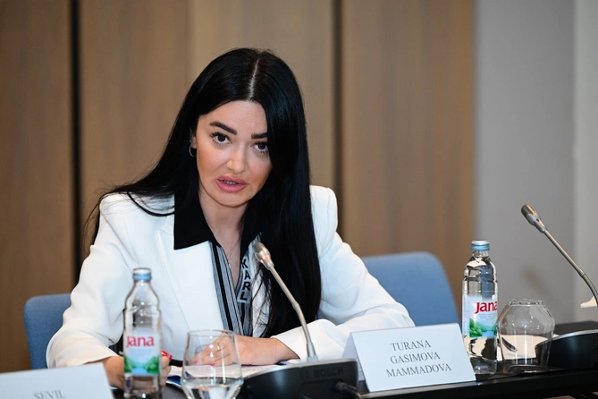 Azərbaycan və Xorvatiya arasında iqtisadi əməkdaşlığın təşviqi üzrə Birgə Komissiyanın 4-cü iclası keçirilib - FOTOLAR
