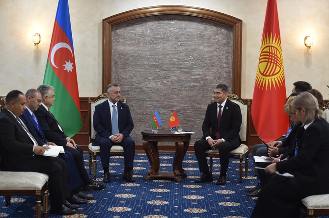 Səhiyyə naziri TDT səhiyyə nazirlərinin VI iclasında iştirak etdi - FOTOLAR