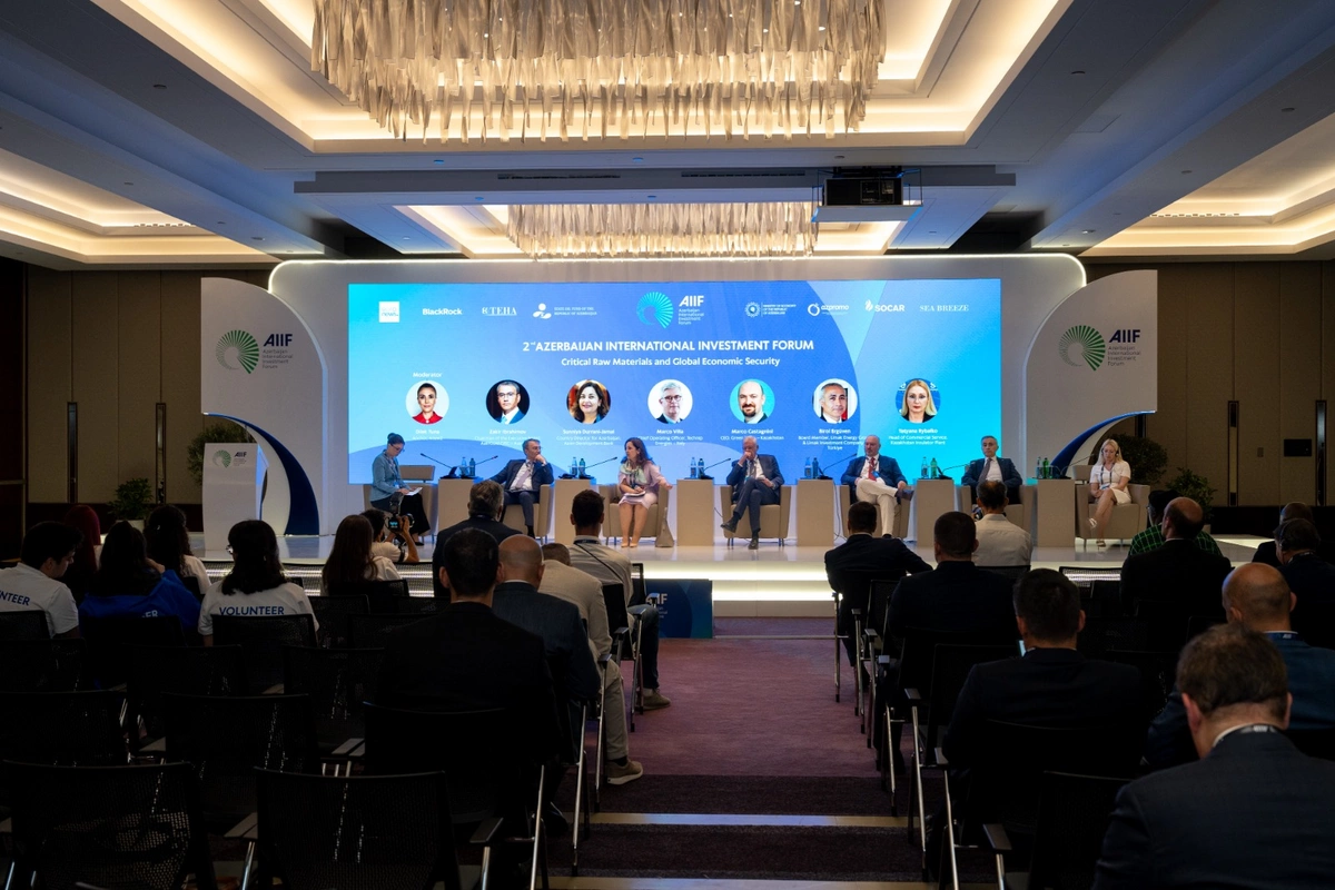 Kritik xammal və qlobal iqtisadi təhlükəsizlik mövzusunda panel sessiya keçirilib - FOTOLAR