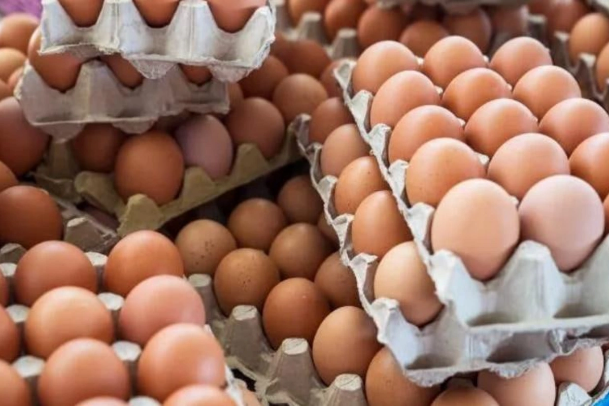 Broyler yumurtası da bahalaşacaq?
