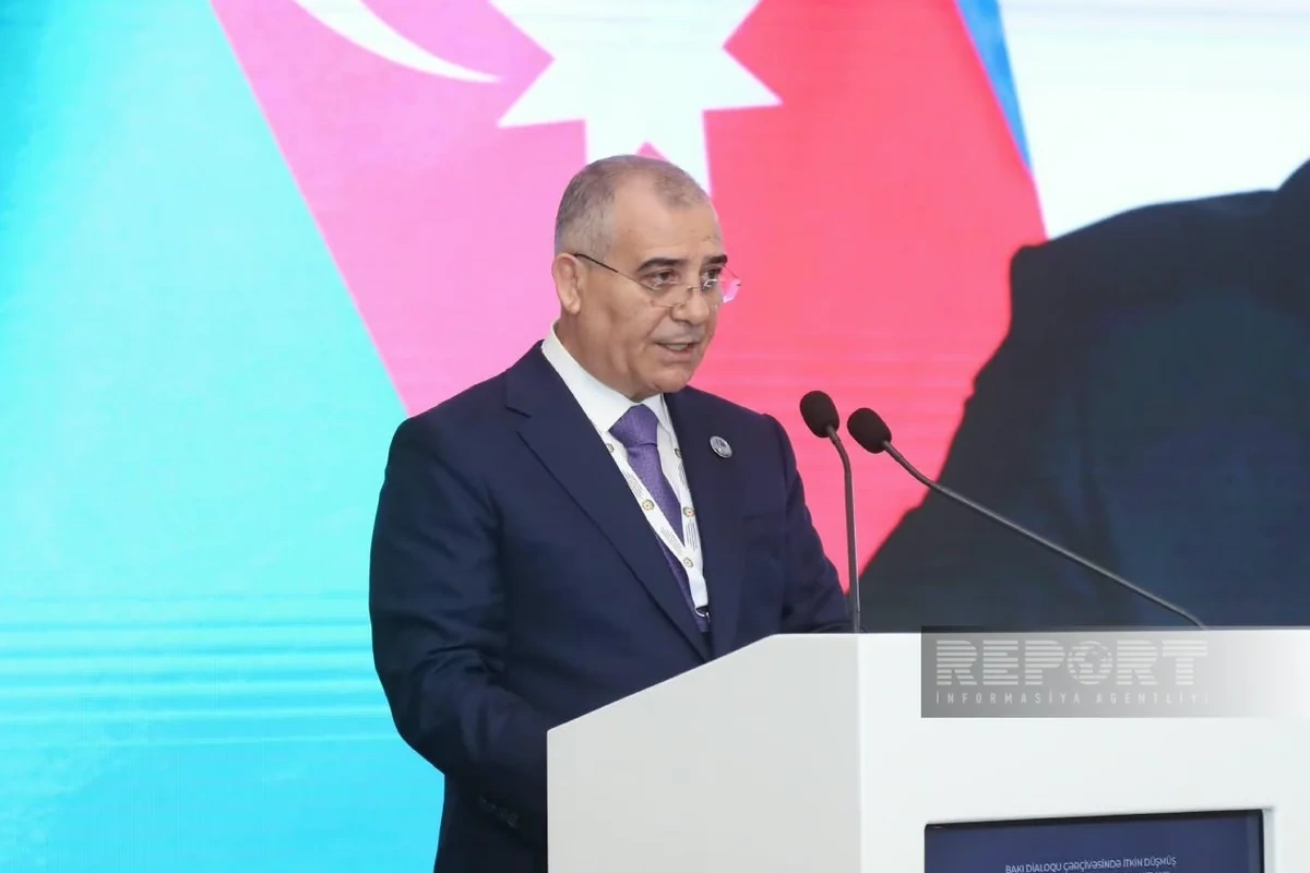 DTX rəisi: 913 itkin şəxsə aid meyit qalıqları aşkarlanıb