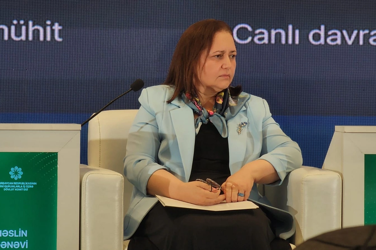 Aynur Sofiyeva: Artıq tədbirlərlə kifayətlənmək olmaz