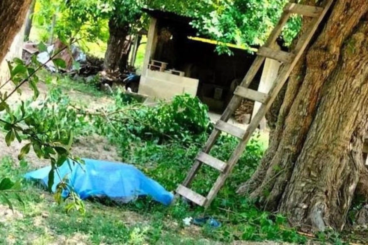 Göygöldə 62 yaşlı kişi ağacdan yıxılaraq ölüb