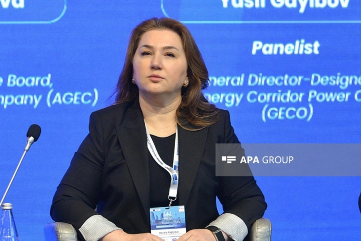AGEC: Azərbaycanda bərpa olunan enerji layihələrinin icra mexanizmləri təkmilləşdirilməlidir