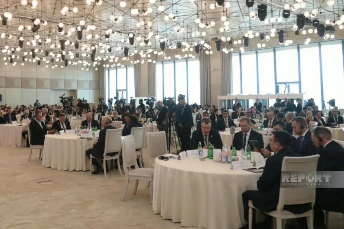 İtkin düşmüş şəxslərlə bağlı Bakı Dialoqu çərçivəsində yekun bəyannamə qəbul edilib