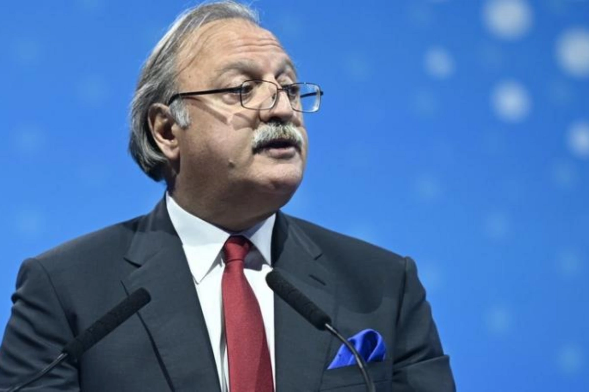 Saakaşvilinin lideri olduğu partiyanın sədri istefa verdi