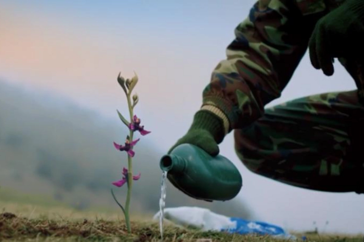 Nazirlik Xarı bülbül adlı videoçarx hazırladı — VİDEO