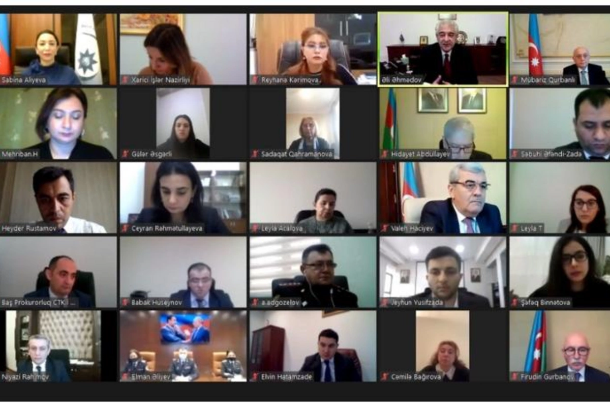 Ombudsman məişət zorakılığı və uşaq hüquqlarına dair videokonfransda çıxış etdi