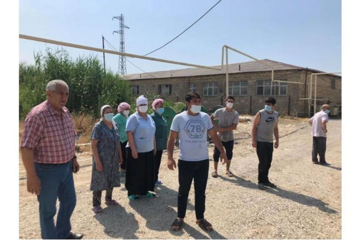 Binəqədidə dəhşətli xəstəlik ocağı — Sakinlər Prezidentə müraciət etdi (FOTOLAR)