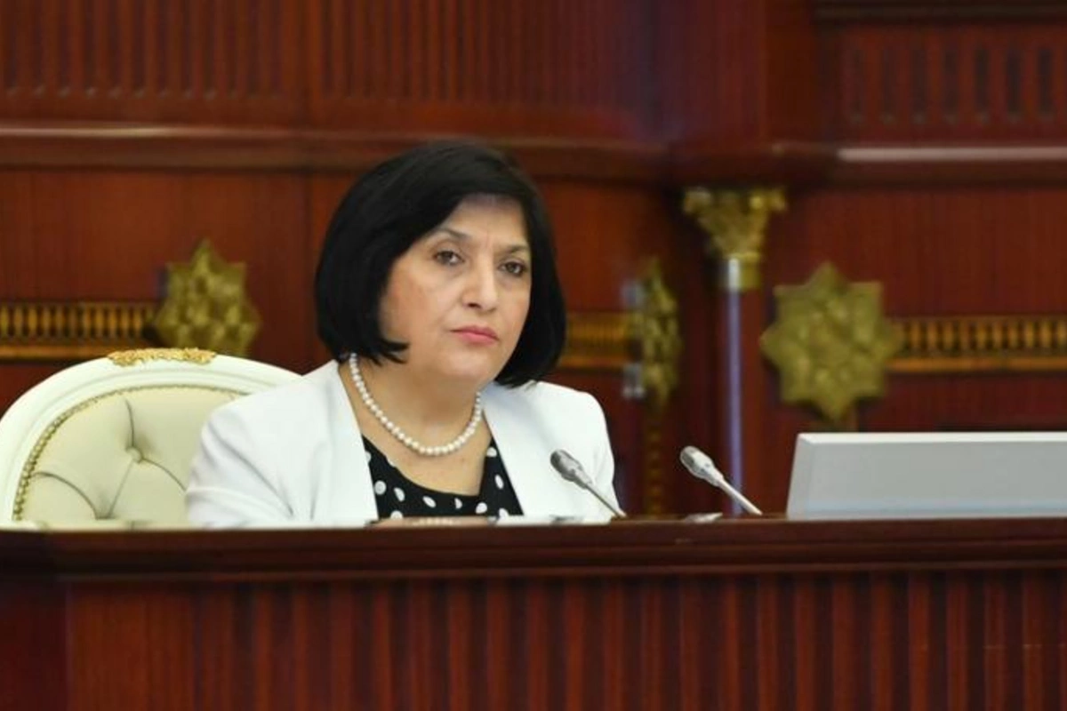 Sahibə Qafarova deputatlara irad bildirdi