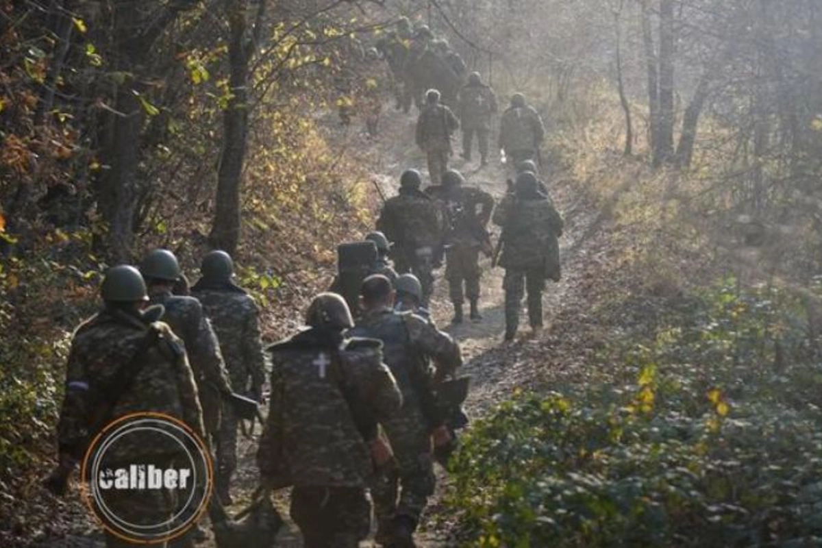 “Ermənistanda fərarilər üsyan edir, Xocavənd istiqamətində sahibsiz itlər zərərsizləşdirildi” — VİDEO