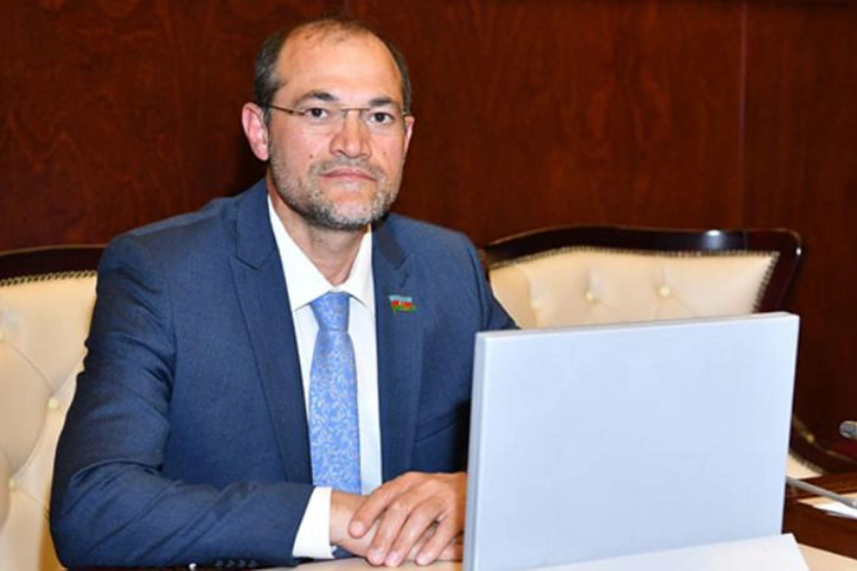 Qəza keçirdim, fransız və alman dillərimdə problem yarandı — Deputat
