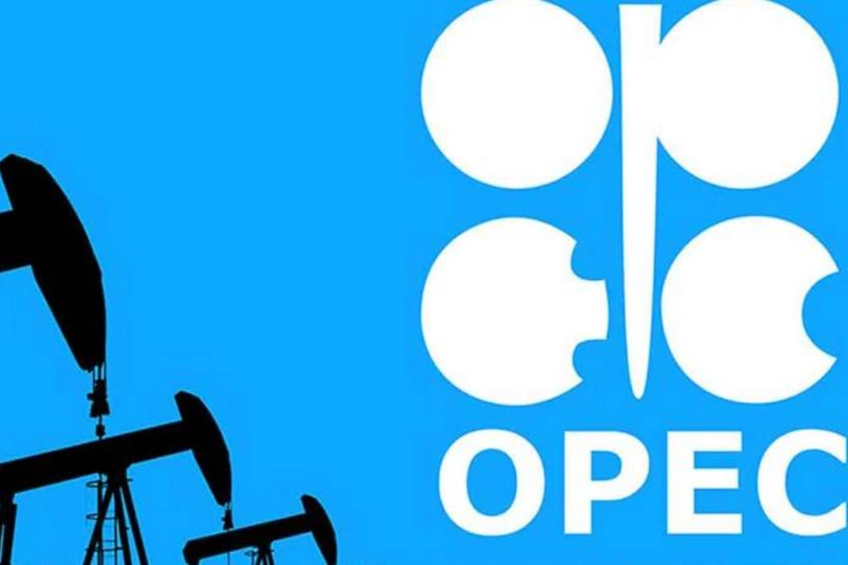 OPEK-in yeni baş katibi seçilib