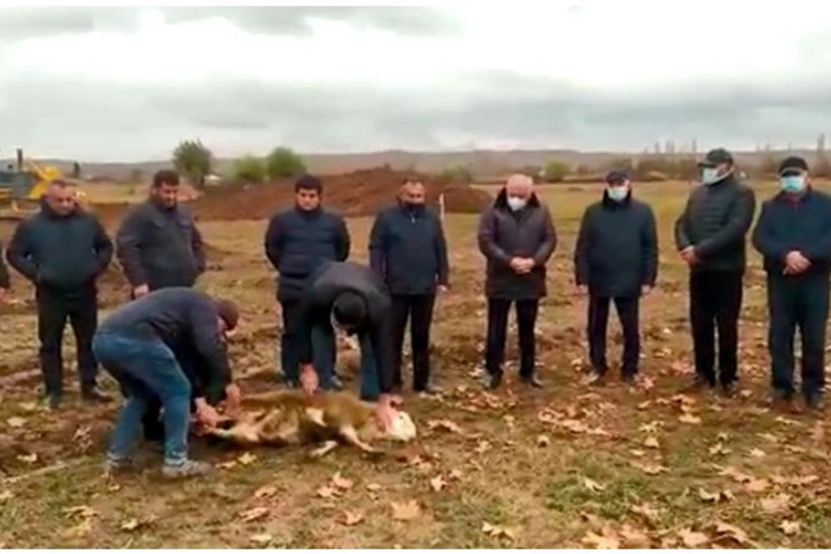 Alı Alıyev Şuşaya çəkilən yolun tikinti işləri ilə tanış oldu — VİDEO