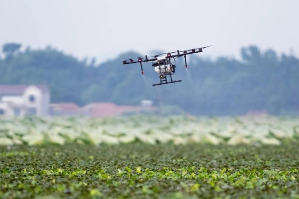 Azərbaycan yeni dronlar istehsal edəcək