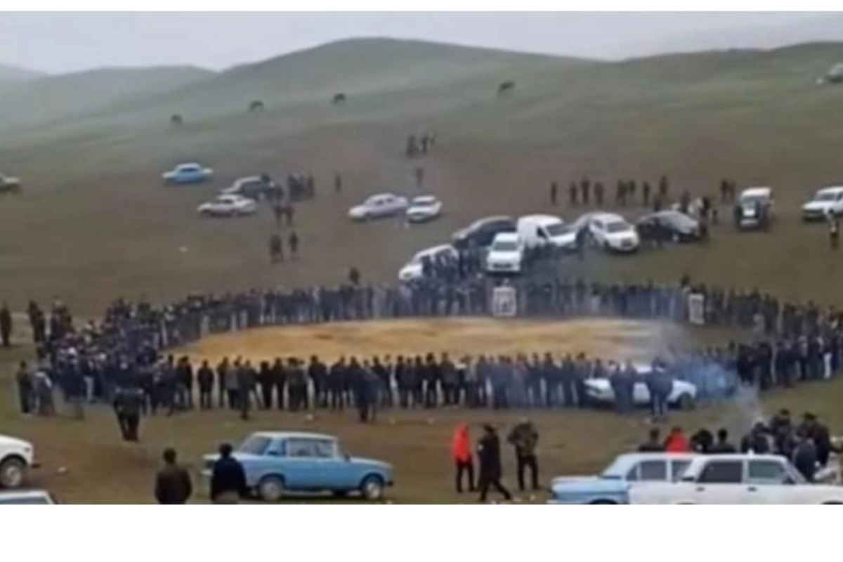 İt döyüşləri ilə bağlı rəsmi açıqlama — ViDEO
