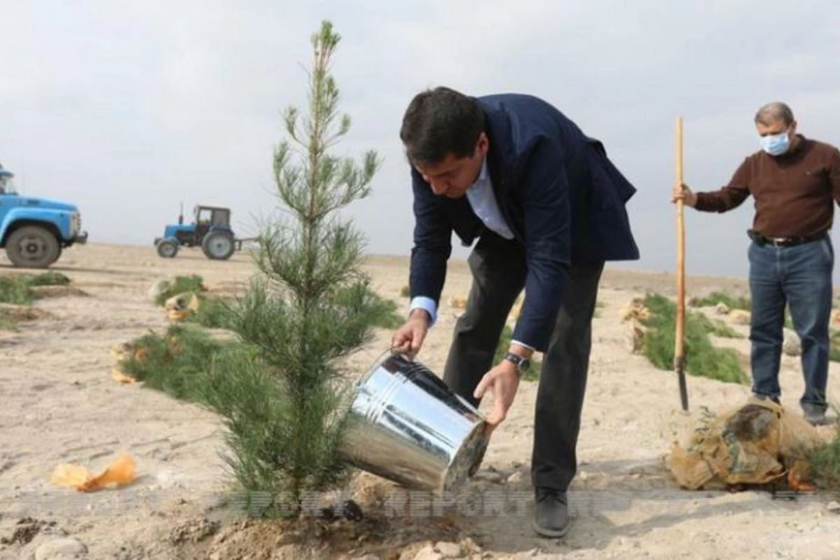 Xarici diplomatlar Tərtərin Şıxarx qəsəbəsində ağac əkdilər — FOTOLAR