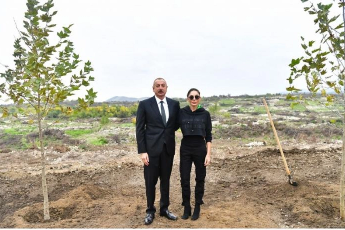 Prezident və birinci xanım Füzulidə yaradılacaq Mərkəzi Şəhər Parkında ağac əkdilər — FOTOLAR