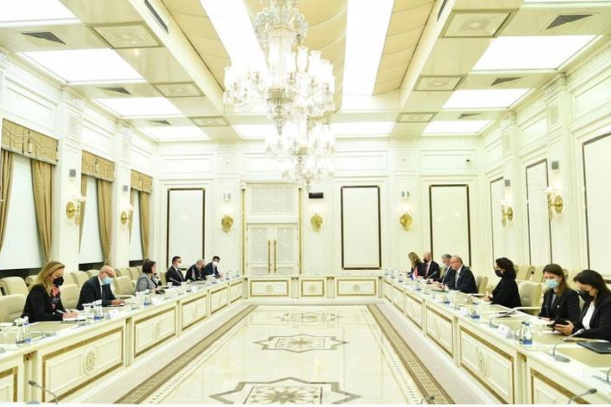 Sahibə Qafarova: Ermənistan sərhədlərin delimitasiyası prosesinə mane olmağa çalışır