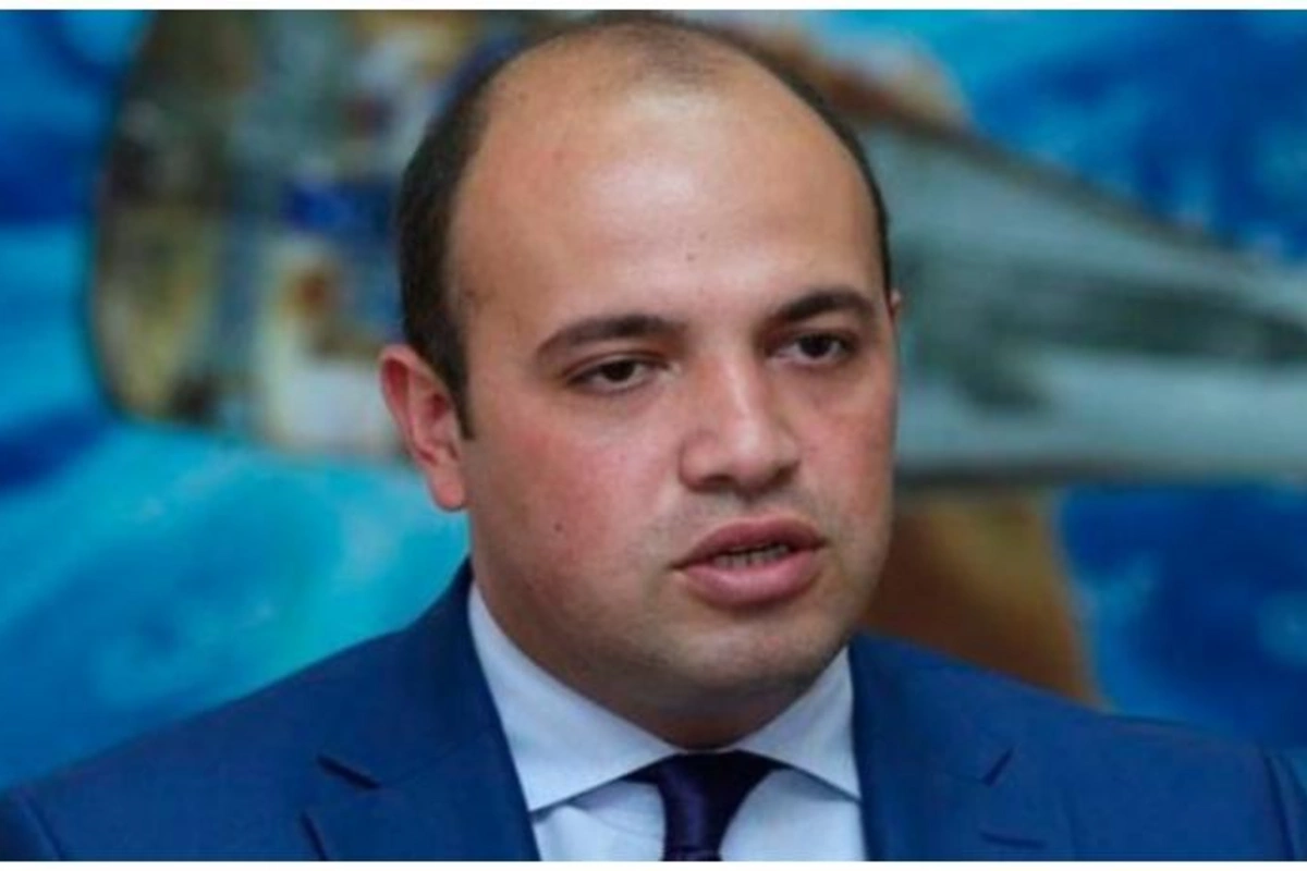 “Azərbaycanlılar Basarkeçərdə olduqca əlverişli mövqelərdədir” — Şahnazaryan