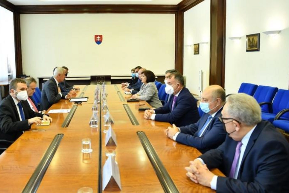 Sahibə Qafarova Slovakiyanın xarici işlər naziri ilə görüşdü — FOTOLAR