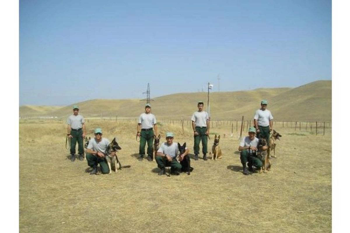 ABŞ Azərbaycana 40 mina axtaran it hədiyyə edib
