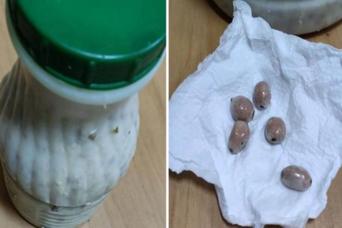 Həbsdə olan atasına dovğanın içində narkotik gətirən şəxs saxlanılıb