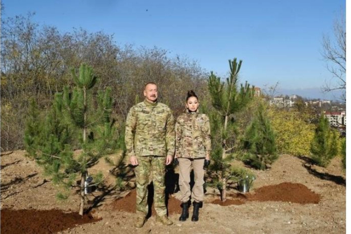 Şuşada Topxana meşəsinin bərpasına start verildi — FOTOLAR