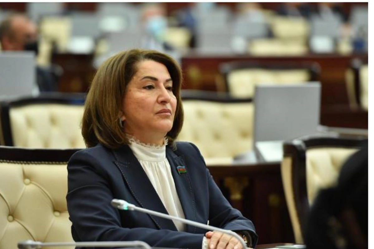 “Avropa İttifaqı bu məsələdə Azərbaycanın mövqeyini bölüşür”