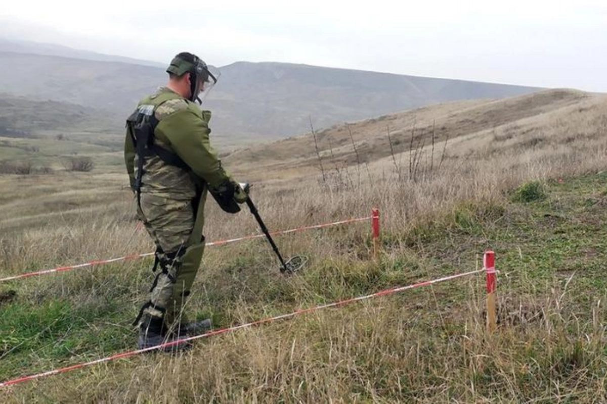 MN: Azad olunmuş ərazilərdə 17255 mina aşkarlanaraq məhv edildi