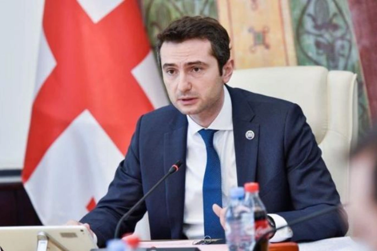 Gürcüstan parlamentinin sədri istefa verdi