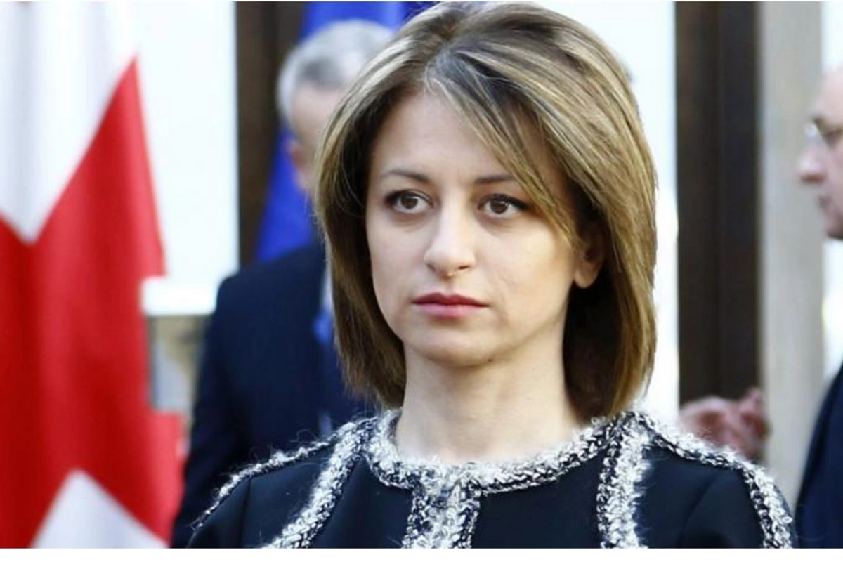 Gürcüstanın səhiyyə naziri istefa verdi