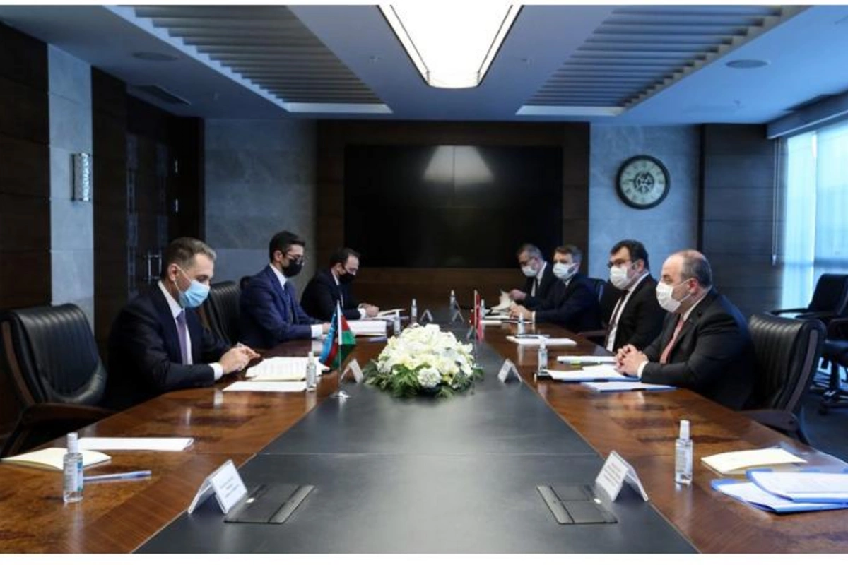 Rəşad Nəbiyev Türkiyədə görüşlər keçirdi — FOTOLAR