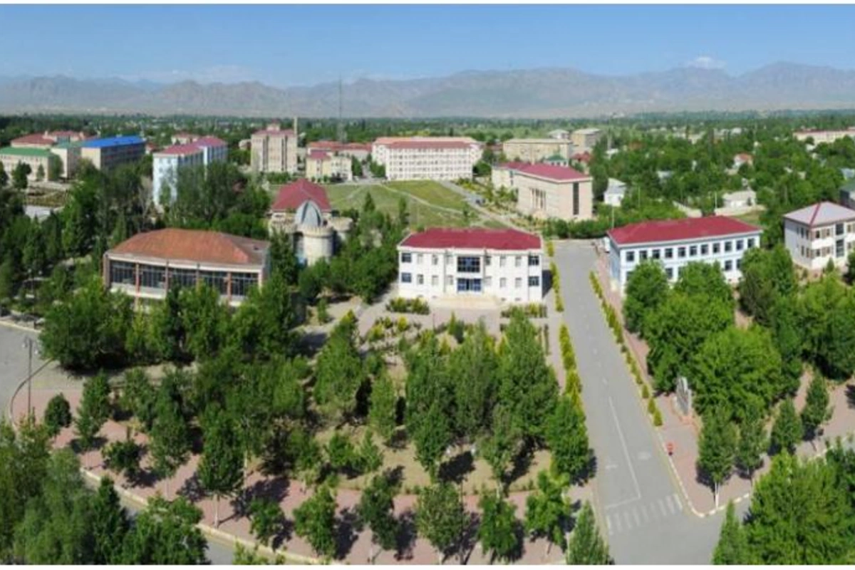 Şərurun Dəmirçi kəndi Sədərək rayonunun tabeliyinə verildi