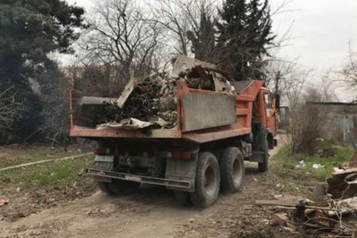 Bəzi hallarda işçilərimizin də meşələrin qırılmasında böyük rolu olur — Xidmət rəisi