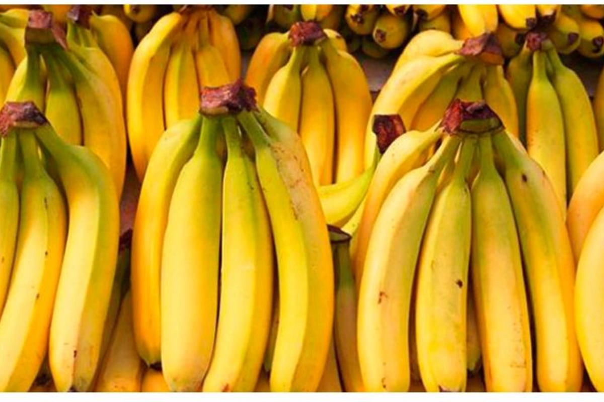 Bananın insan orqanizminə faydaları