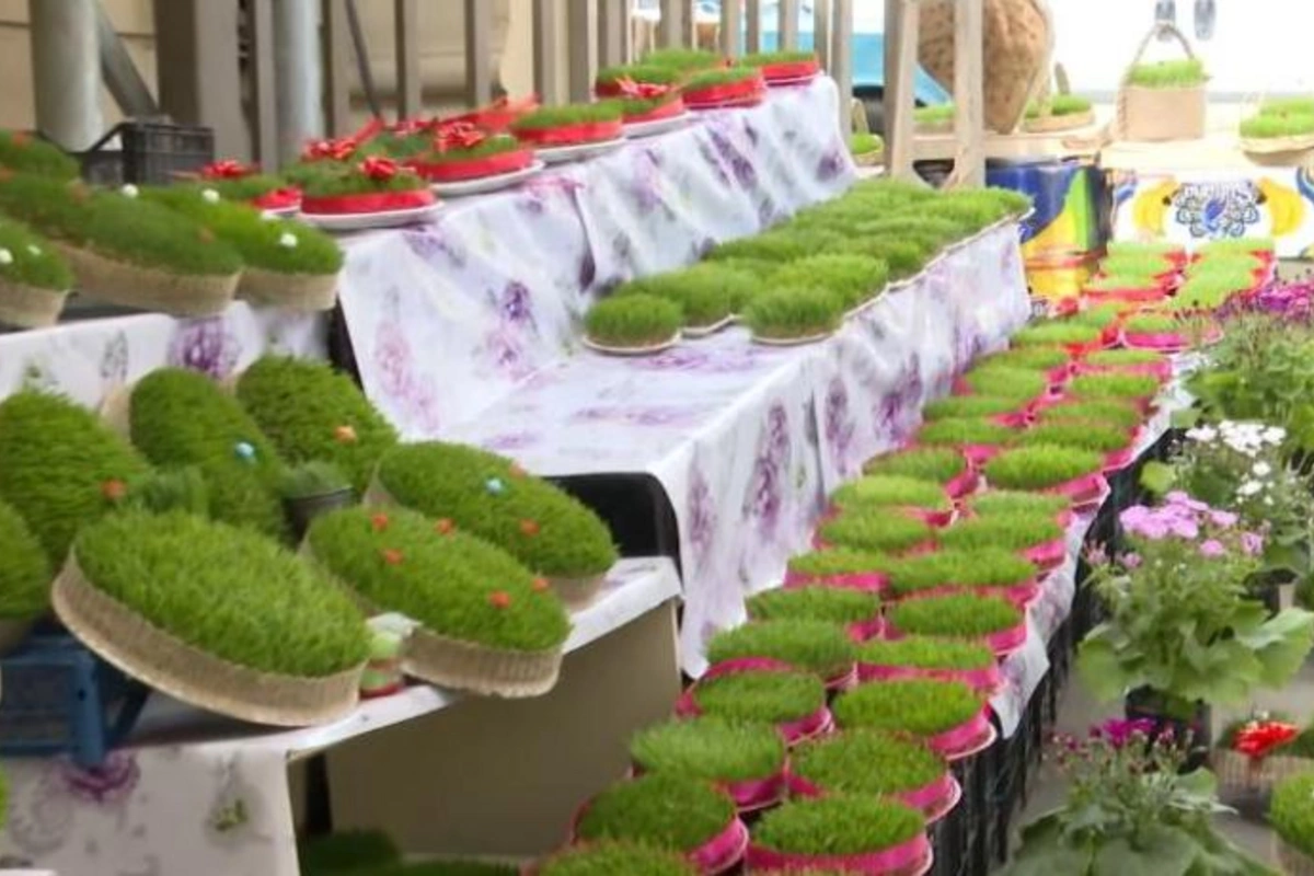 Bazarda 600 manata səməni satıldı — VİDEO