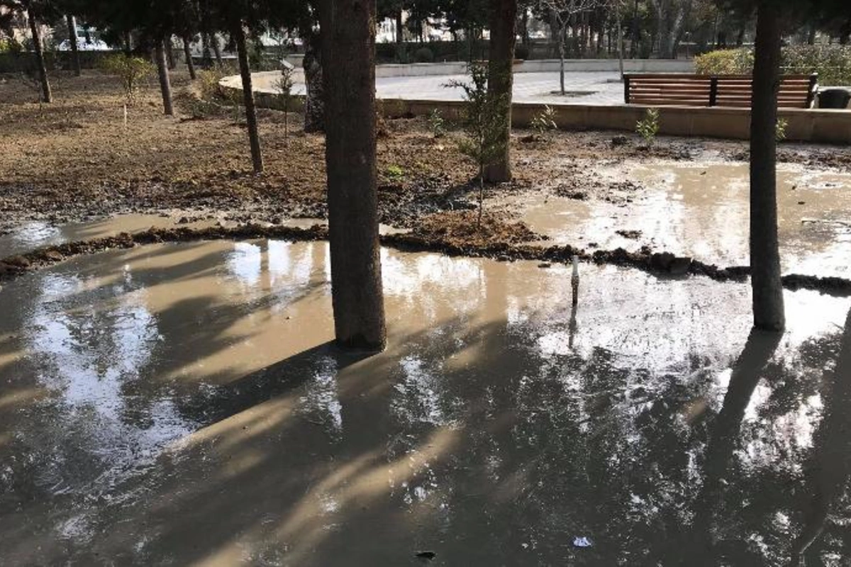 Bakıda Heydər Əliyevin adını daşıyan parkda ağacların dibinə beton tökülməsi ilə bağlı AÇIQLAMA