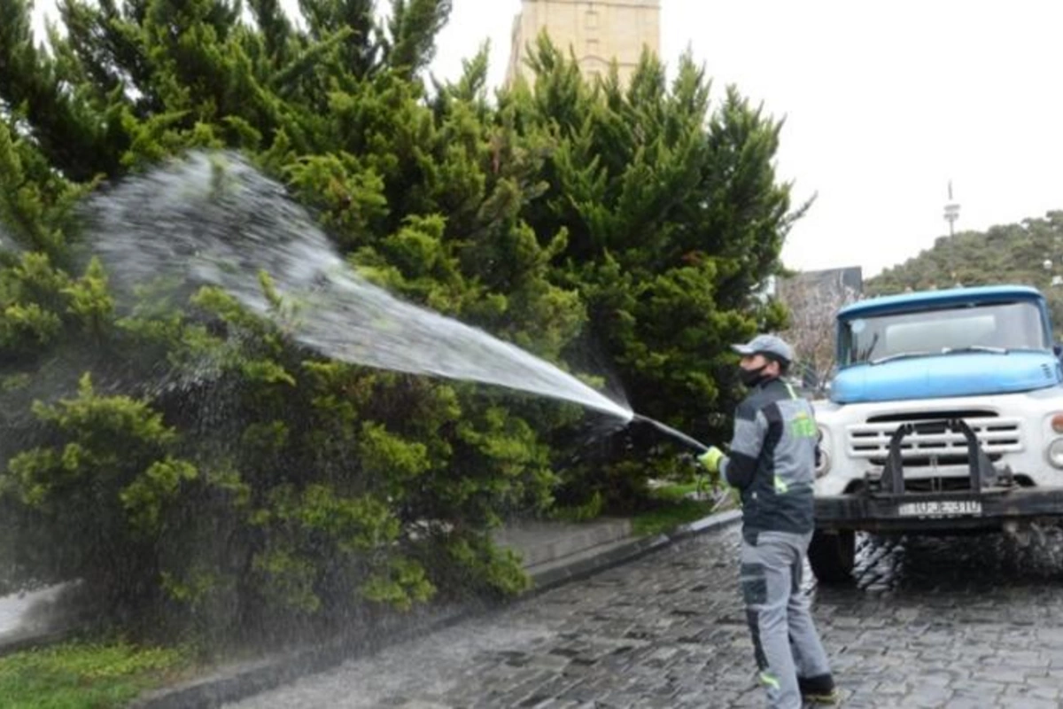 Bakıda ağaclar yuyulur, yaşıllıqlara qulluq göstərilir — FOTOLAR