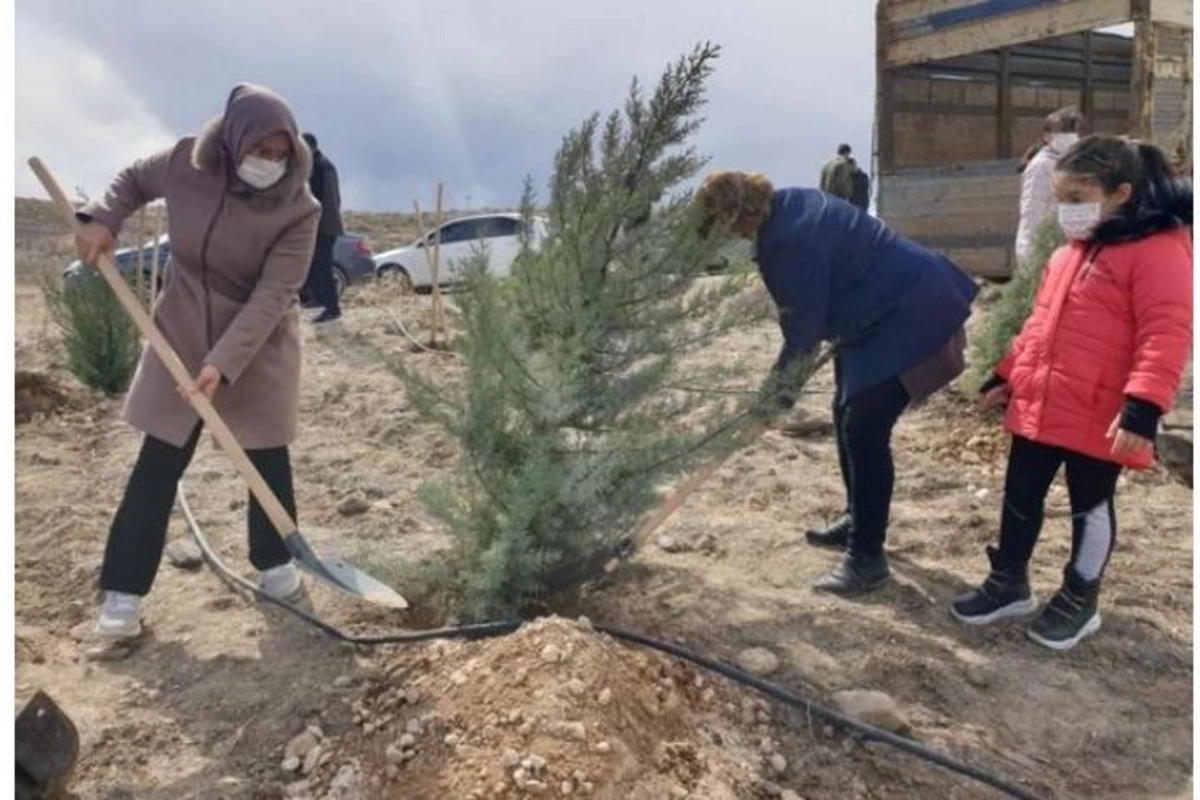 Türkiyədə Azərbaycan şəhidlərinin xatirəsinə ağacəkmə aksiyası keçirildi — FOTOLAR