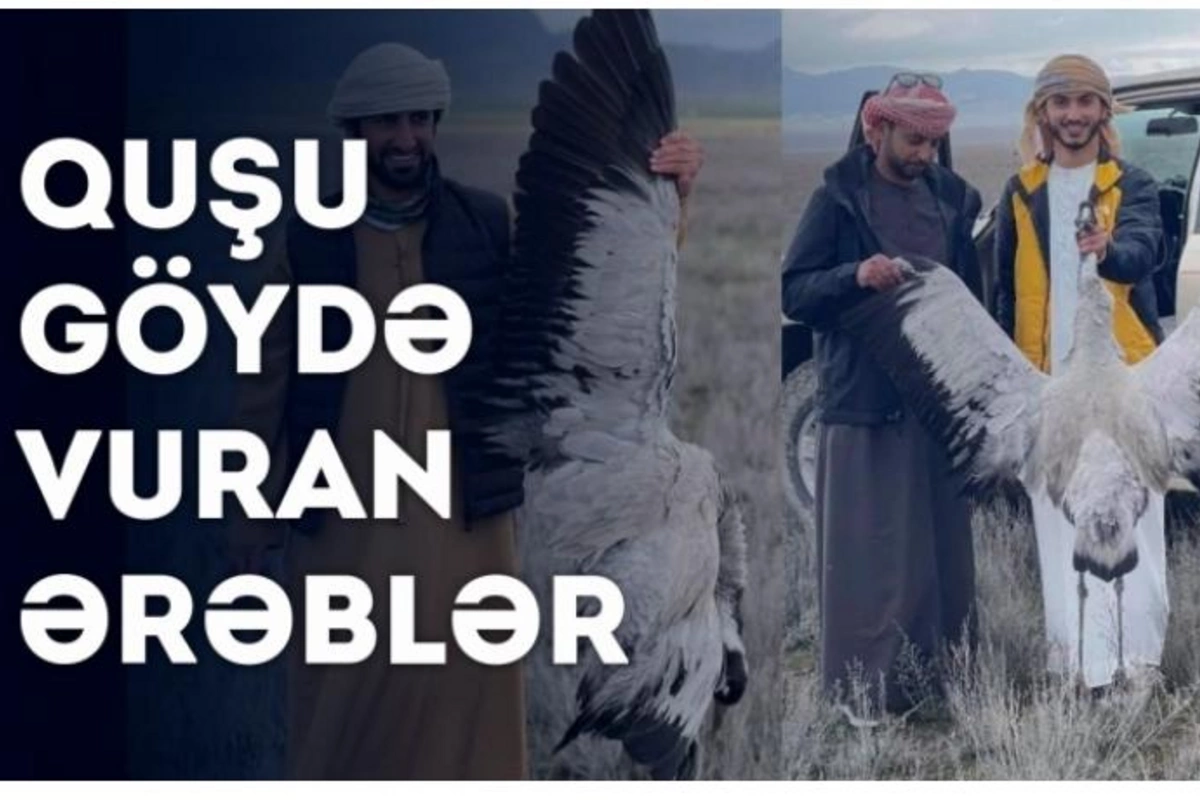 Quşu göydə vuran ƏRƏBLƏR — VİDEO