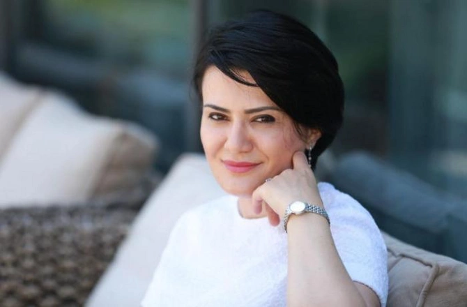 “Dövlətçilik tarixi istiqamətində Azərbaycanın apardığı təbliğat əvəzsizdir”