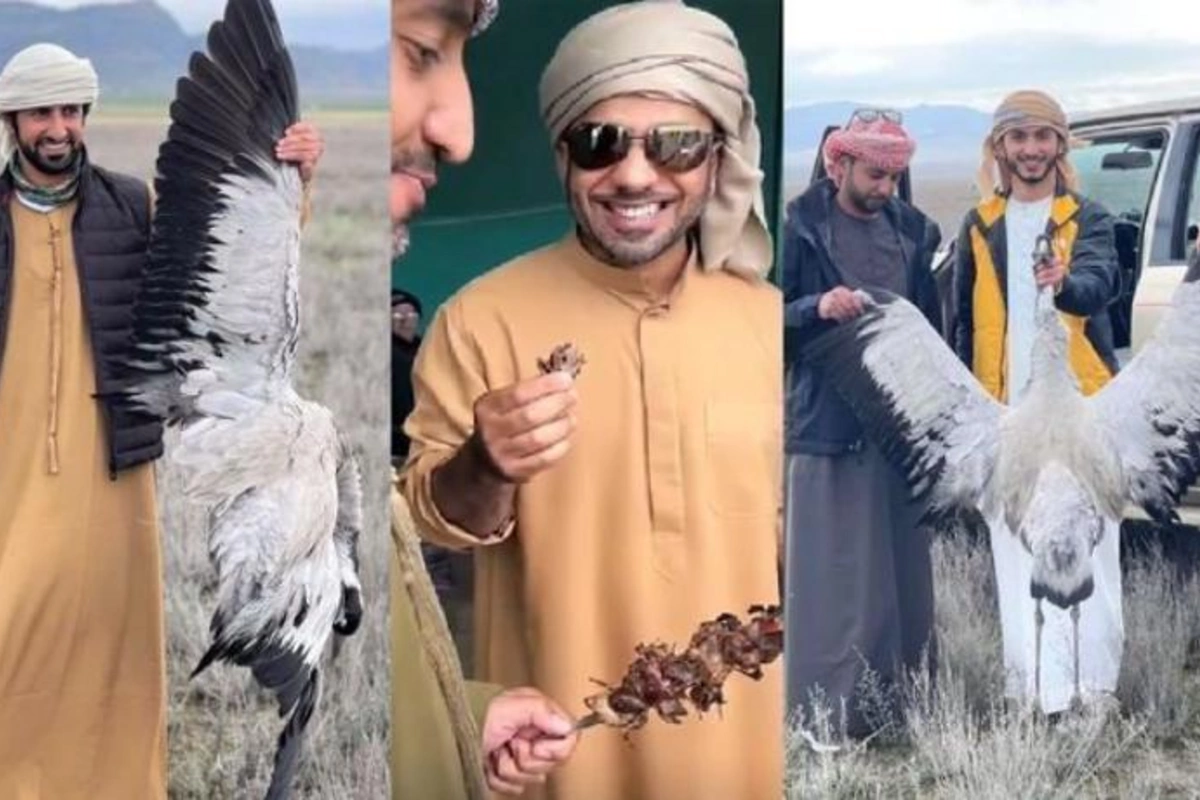 IDEA İB-dən ərəblərin Azərbaycanda ov etməsinə REAKSİYA — FOTO